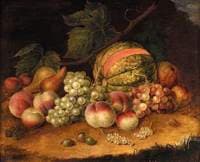 Fruit