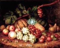 Study of Fruit