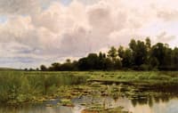Marshes of the Shiawassee
