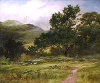 Hillside at Luss