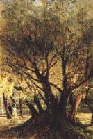 Olive Trees in Menton