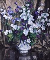 Campanula