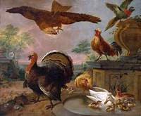 A Turkey and other Fowl in a Park