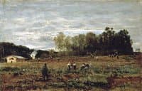 Field in Ecouen