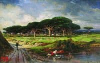 Pine Forest near Menton
