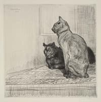 Two Cats on a Cabinet