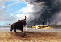 Elephant in the Shallows of the Shire River, the Steam Launch Firing