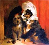 Comical Dogs