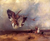 Hawking in the Olden Time