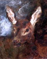 Head of a Hind