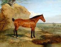 Lord Henniker's Bay Mare, Brunette