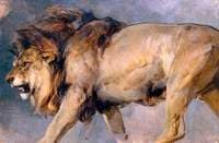 Study of a Lion