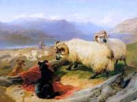 Tethered Rams