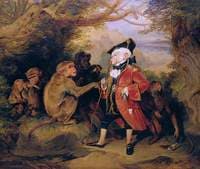 The Travelled Monkey