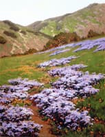 Joyous Spring