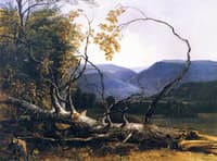 Study from Nature, Stratton Notch, Vermont