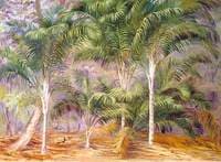 A Group of Palms in Mahé, Seychelles