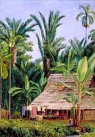 A Tailor's Shop in the Botanic Garden, Buitenzorg, Shaded by Sago Palms and Bananas