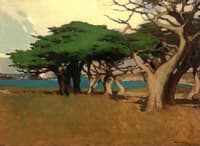 Monterey Peninsula Landscape