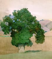 Carmel Valley Oak