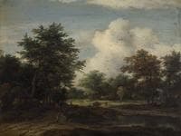 Wooded Landscape