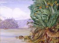 A View on the Knowie River, South Africa