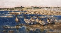 Wild Geese
