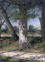 Oak Trees, Pornic