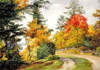 Autumn Tints near Niagara, United States