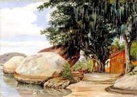 Boulders, Fisherman's Cottage and Tree Hung with Air Plant at Parquita, Brazil