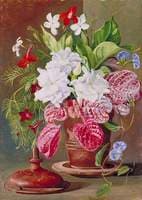 Brazilian Flowers