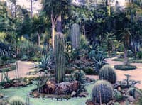 Arizona Gardens, Del Monte