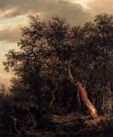 Glade in a Wood