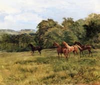 The Yearlings