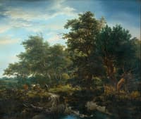 Forest Scene