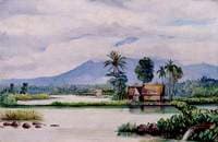 Chi Panas, Java