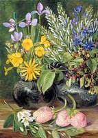 Chilian Flowers in Twin Maté Pot and Chilian Strawberries