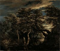 Marsh in a Forest at Dusk