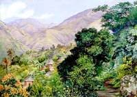 Distant View of Newcastle, Jamaica