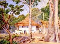 Dr and Mrs Hoad at Home in Praslin, Seychelles