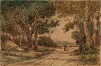 Forest Path