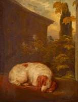 A Sleeping Spaniel Called 'Belle'