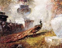Peacock amongst Garden Urns