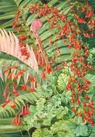 Fern and Flowers Bordering the River at Chanleon, Chili