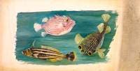 Fishes