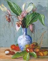 Flowers of Tacca and Bristly Fruit of the Rambutan