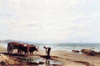 After High Tide