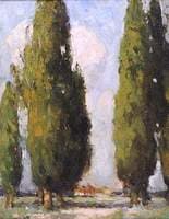 Lombardy Poplars