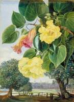Foliage and Flowers of the Suriya or Portia; the Pagodas of Madura in the Distance