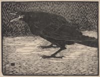 The Crow